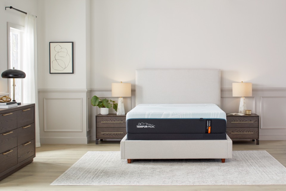 Tempur-pedic